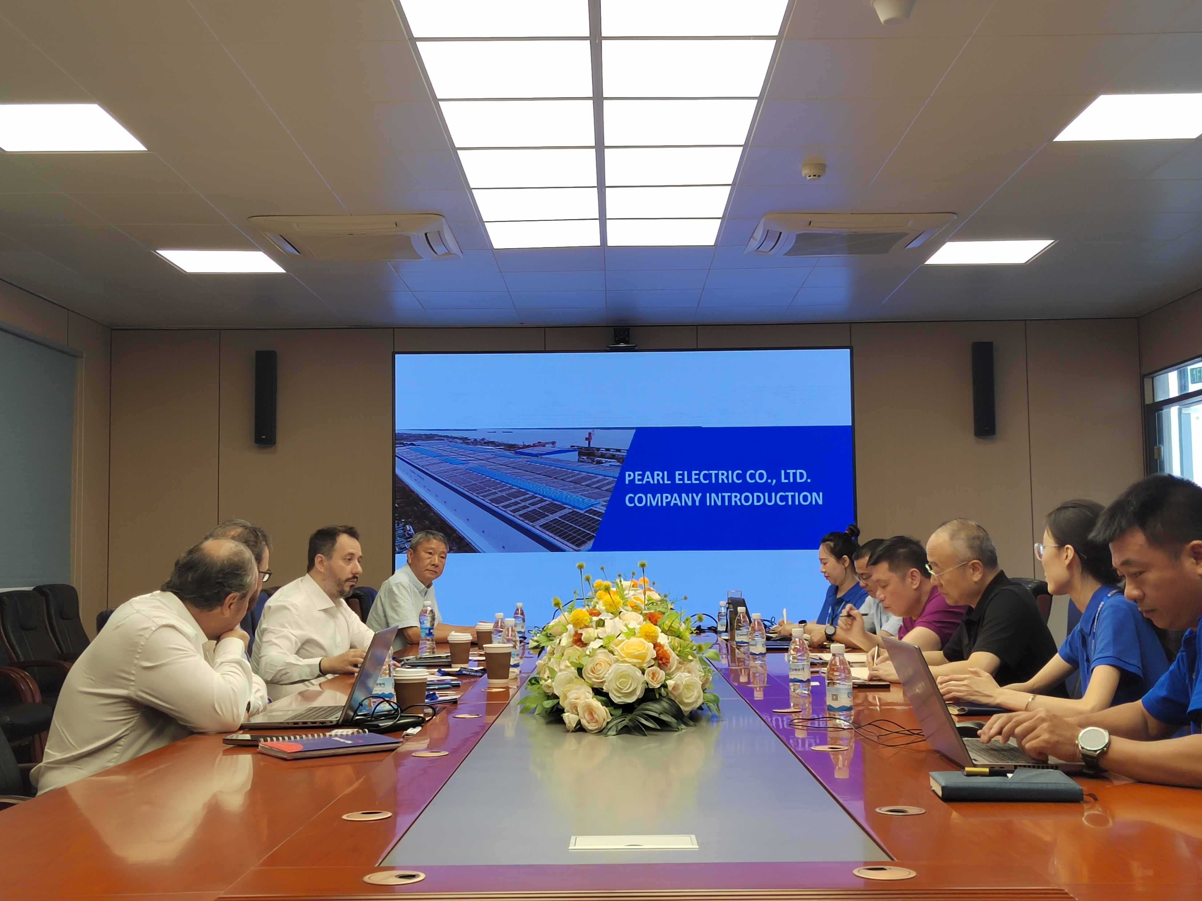 Visita de la empresa brasile&ntilde;a de redes el&eacute;ctricas Energisa-5.jpg