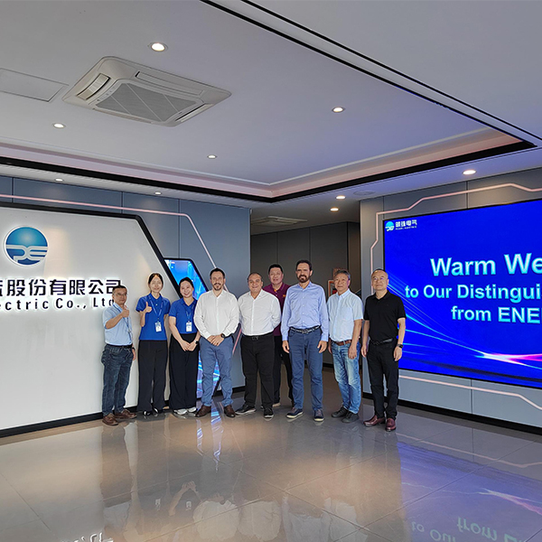 Brazilian power grid company Energisa visited.jpg